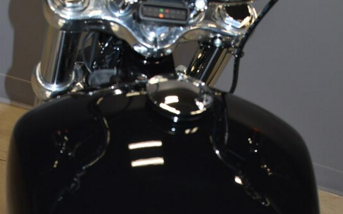 2022 Harley-Davidson Softail Standard