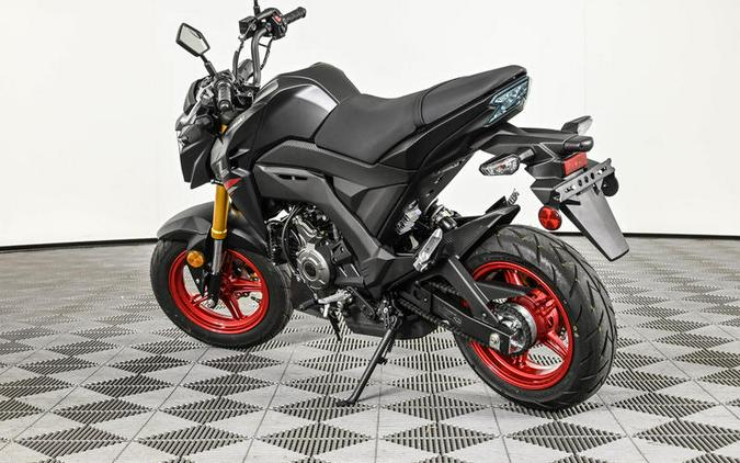 2022 Kawasaki Z125 PRO