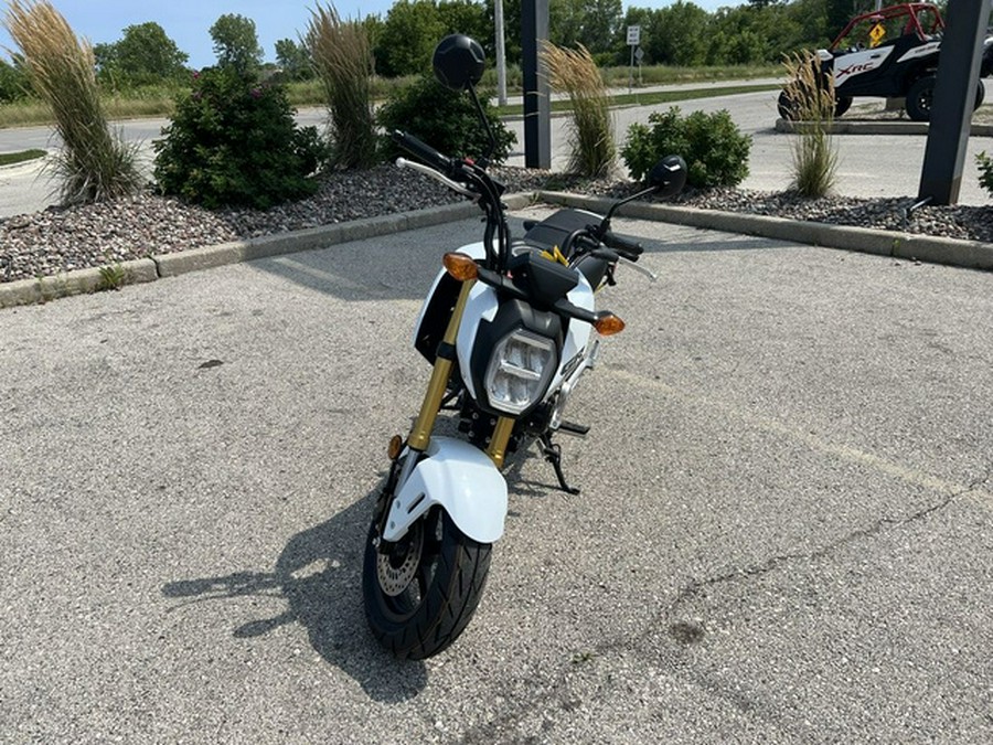 2025 Honda Grom