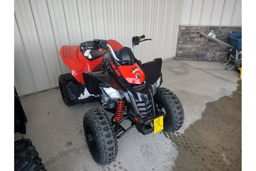 2024 Can-Am DS 2X4 250-4ST