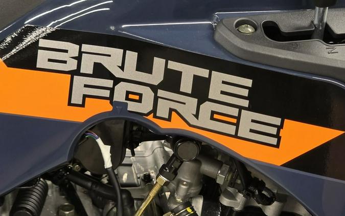2026 Kawasaki Brute Force® 300