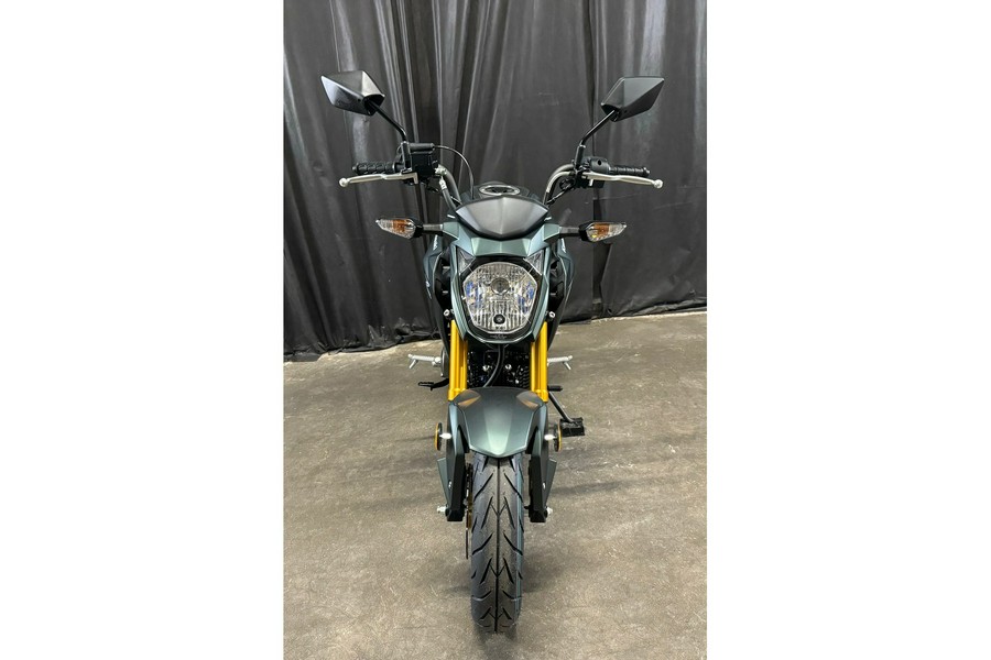 2025 Kawasaki Z125 PRO