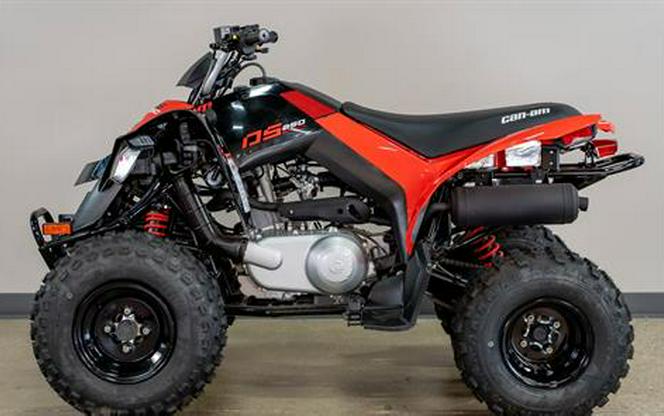 2024 Can-Am DS 250