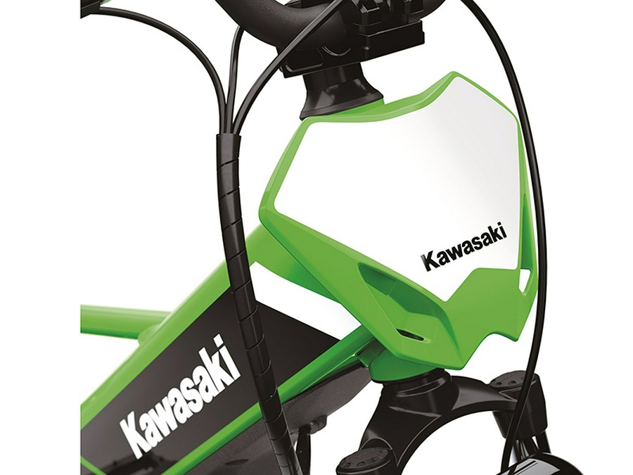 2025 Kawasaki Elektrode 20