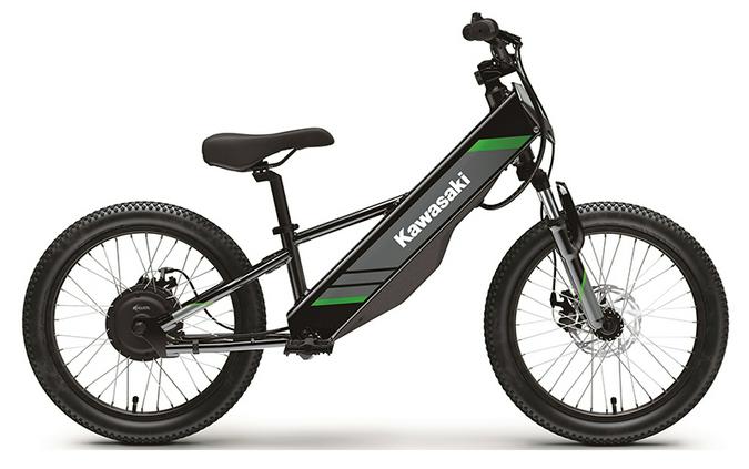 2025 Kawasaki Elektrode 20