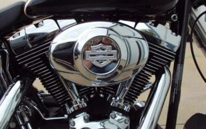 2011 Harley-Davidson® FLSTN - Softail® Deluxe