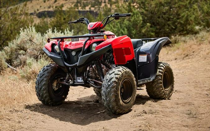 2025 Yamaha Grizzly 110