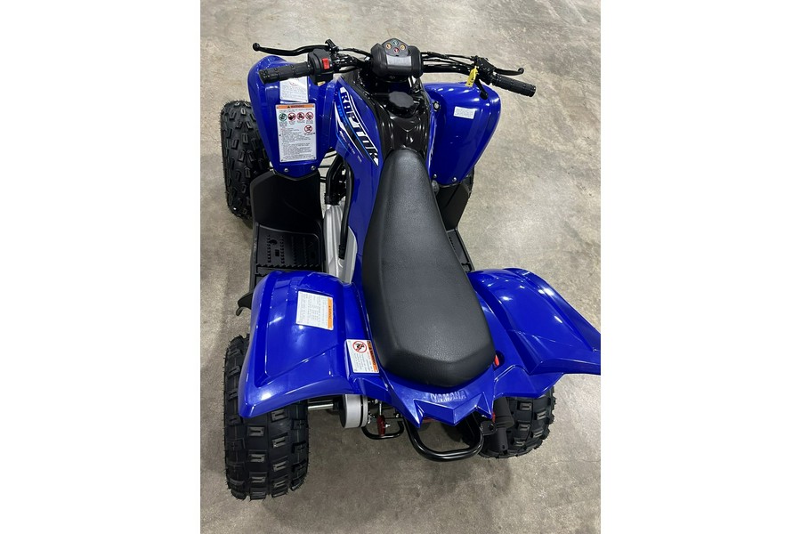 2026 Raptor 110 - Yamaha