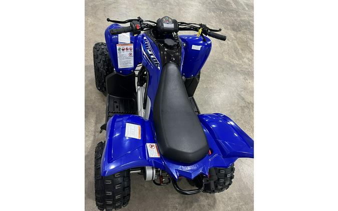 2026 Raptor 110 - Yamaha