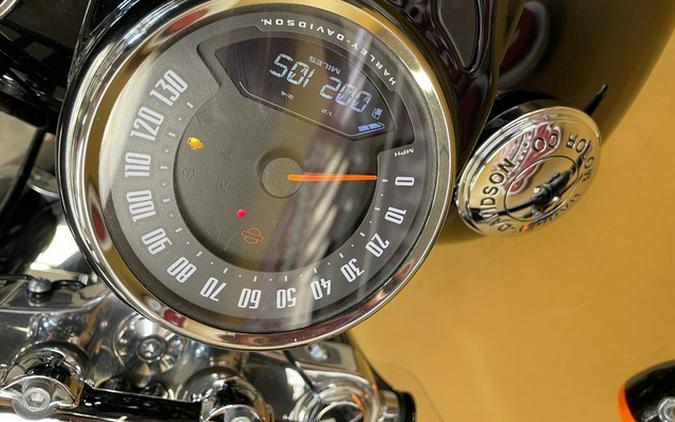 2020 Harley-Davidson Softail FLSL - Softail Slim