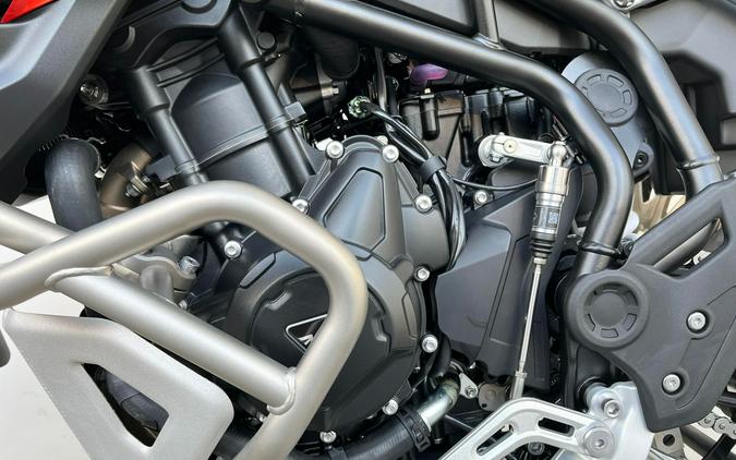 2026 Triumph TIGER 900 DESERT EDITION