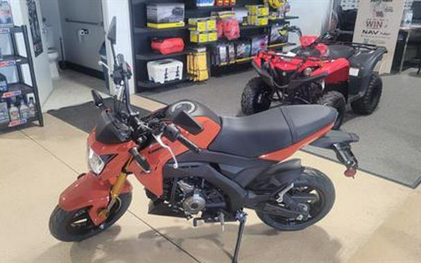 2025 Kawasaki Z125 Pro