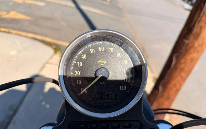 2021 Harley-Davidson XL883N Iron