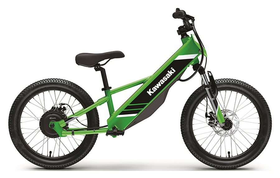 2025 Kawasaki Elektrode 20