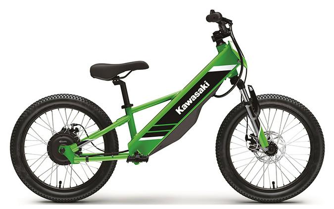 2025 Kawasaki Elektrode 20