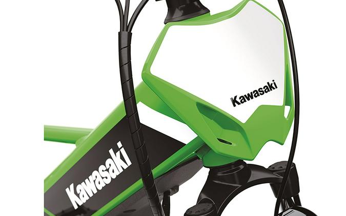 2025 Kawasaki Elektrode 20