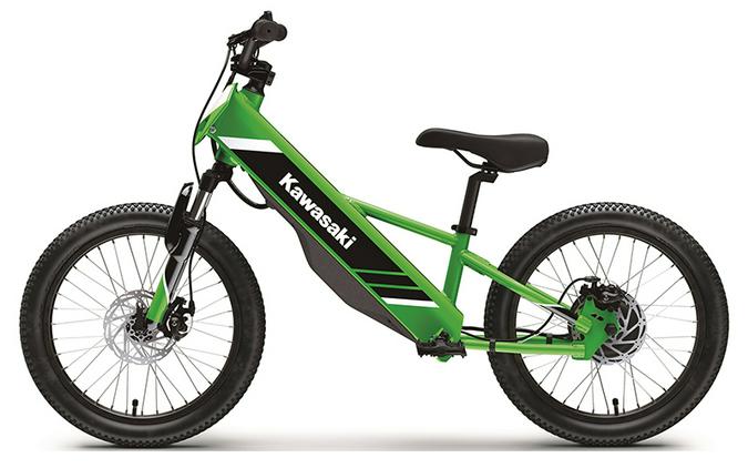 2025 Kawasaki Elektrode 20