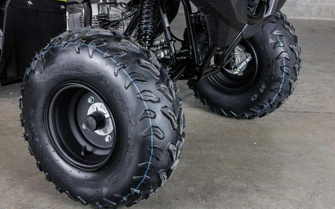 2026 Yamaha Grizzly 110