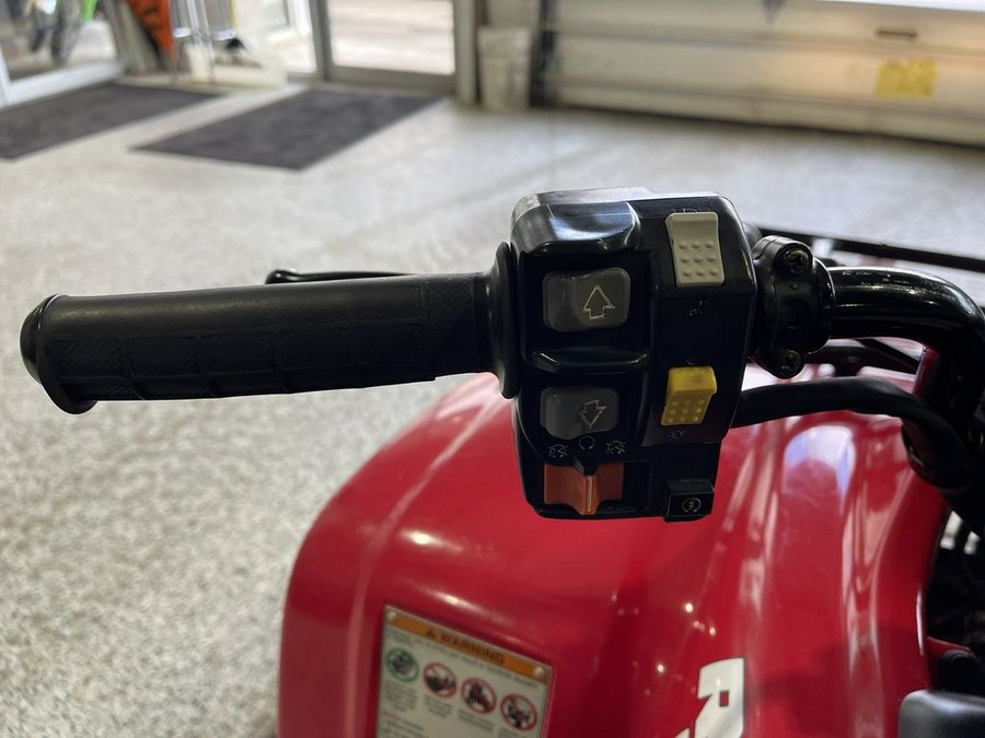 2003 Honda® RECON ES