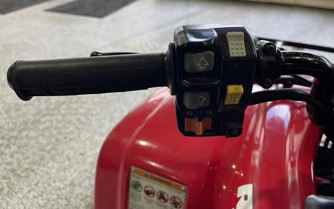 2003 Honda® RECON ES