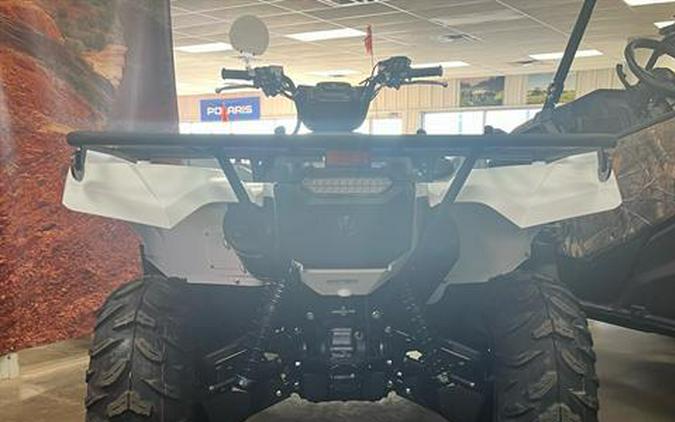 2024 Yamaha Grizzly EPS