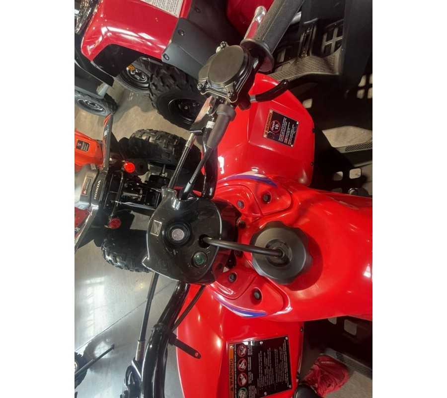 2024 Honda® TRX90X