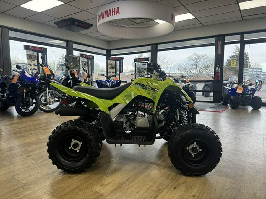 2026 Yamaha Raptor 110