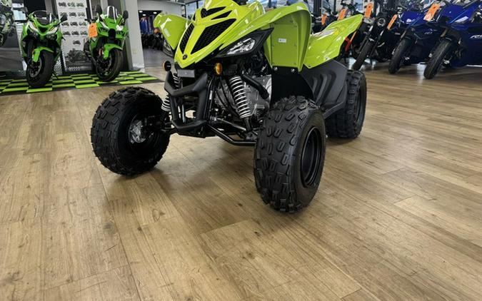 2026 Yamaha Raptor 110