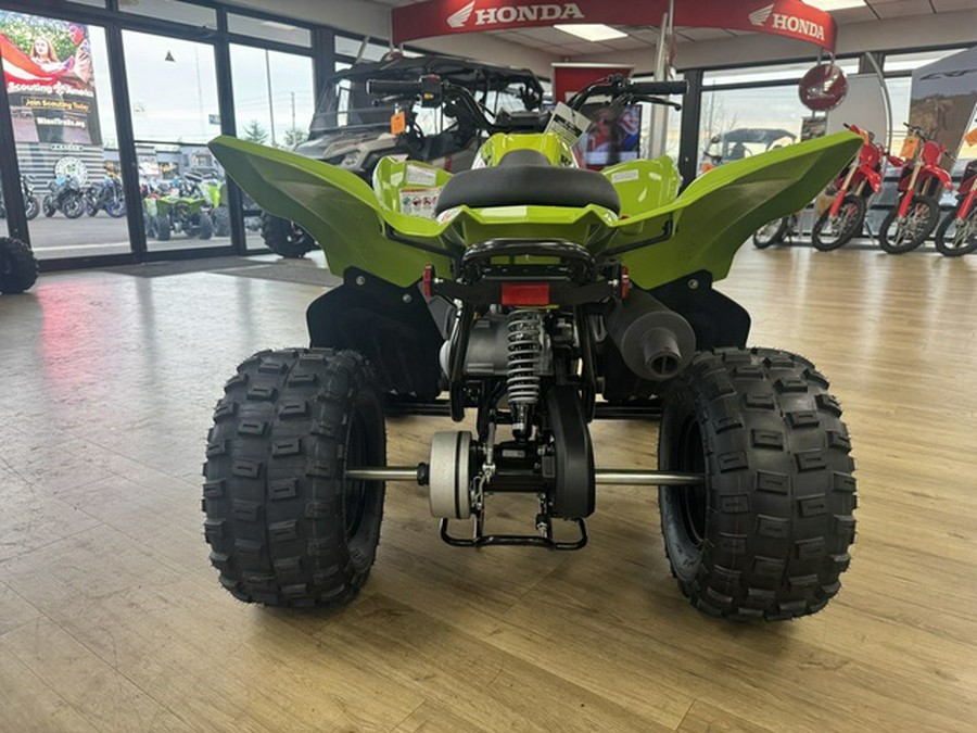 2026 Yamaha Raptor 110