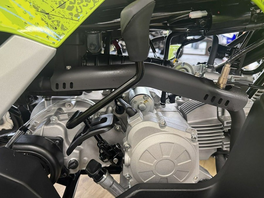 2026 Yamaha Raptor 110