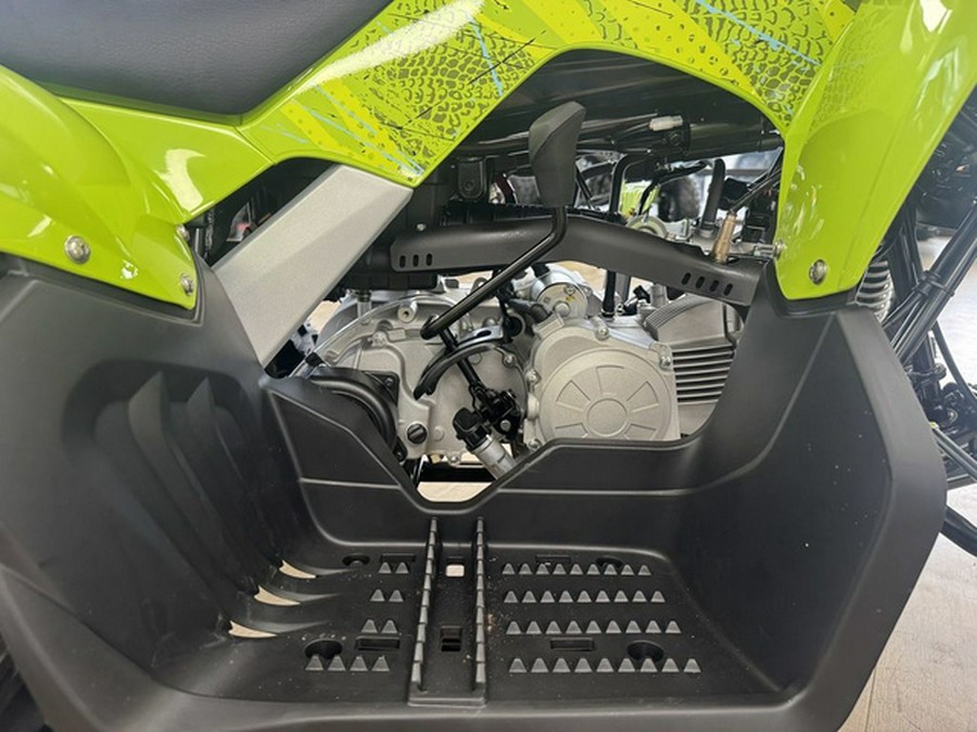 2026 Yamaha Raptor 110