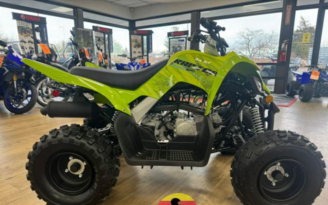 2026 Yamaha Raptor 110