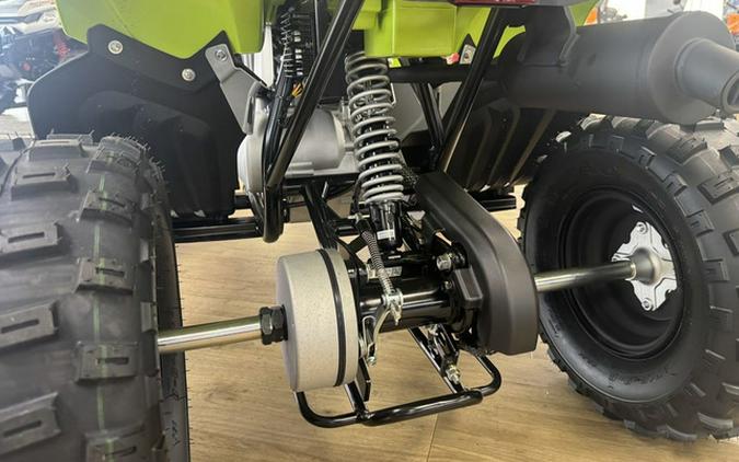 2026 Yamaha Raptor 110