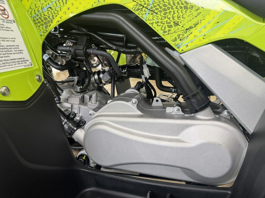 2026 Yamaha Raptor 110