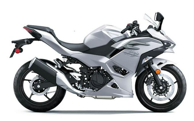 2024 Kawasaki Ninja® 500