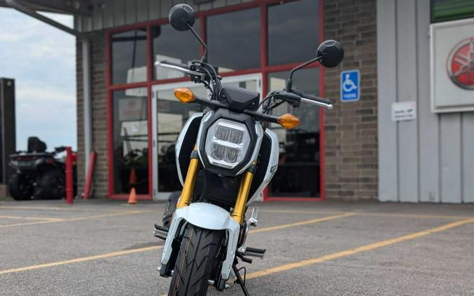 2025 Honda Grom™ Base