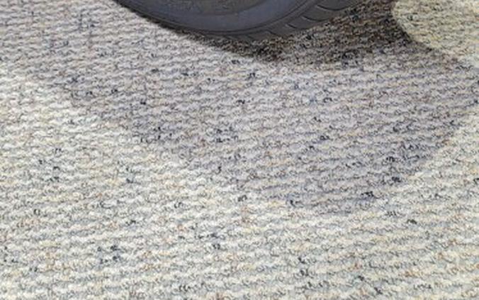 FLRT 2025 Freewheeler®