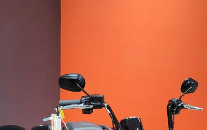 FLRT 2025 Freewheeler®