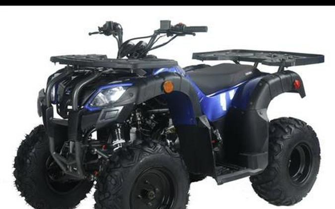 2024 Cougar Cycle Pentora 250 UT