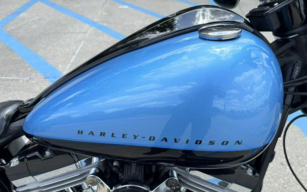2011 Harley-Davidson® Blackline®