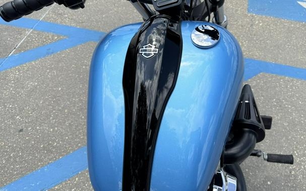 2011 Harley-Davidson® Blackline®