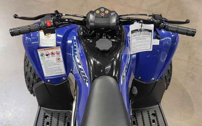 2026 Yamaha Raptor 110