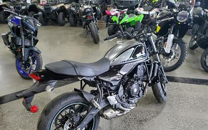 2023 Kawasaki Z650RS