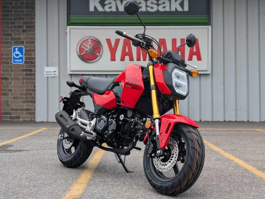 2025 Honda Grom™ Base