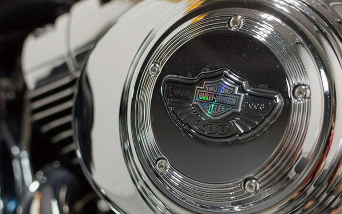 2003 Harley-Davidson 2003 Harley-Davidson Heritage Springer 100th Anniversary Edition