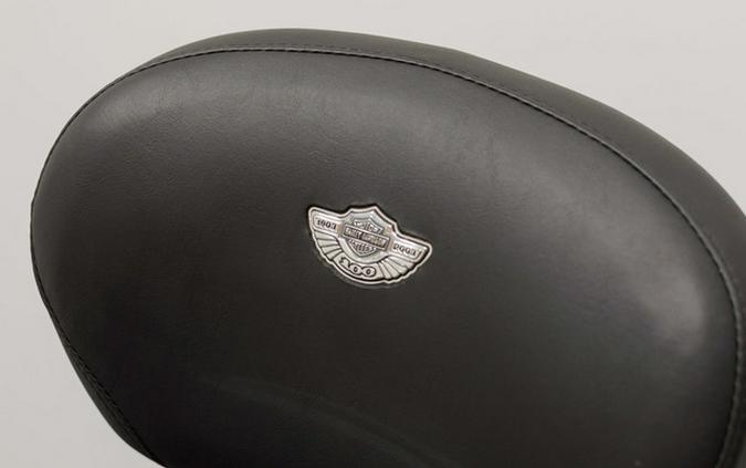 2003 Harley-Davidson 2003 Harley-Davidson Heritage Springer 100th Anniversary Edition