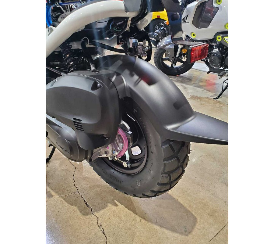 2023 HONDA RUCKUS