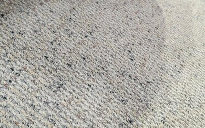 FLTRX 2025 Road Glide™