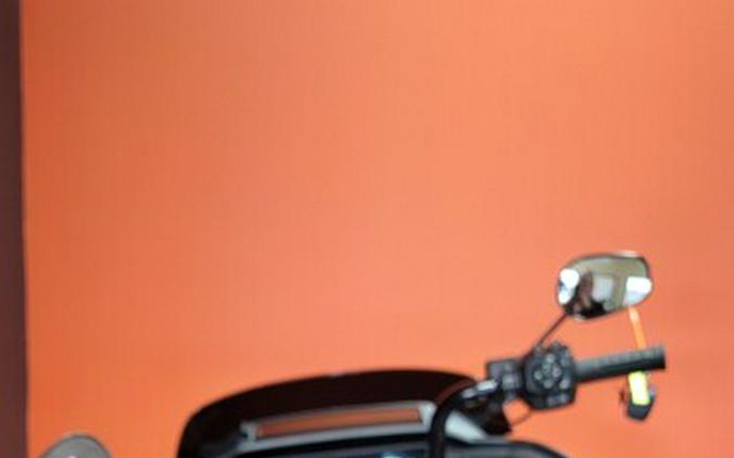 FLTRX 2025 Road Glide™