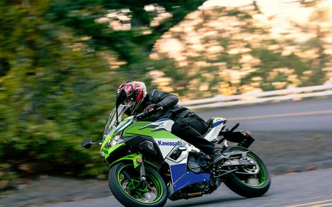 2024 Kawasaki Ninja® 500 SE 40th Anniversary Edition ABS